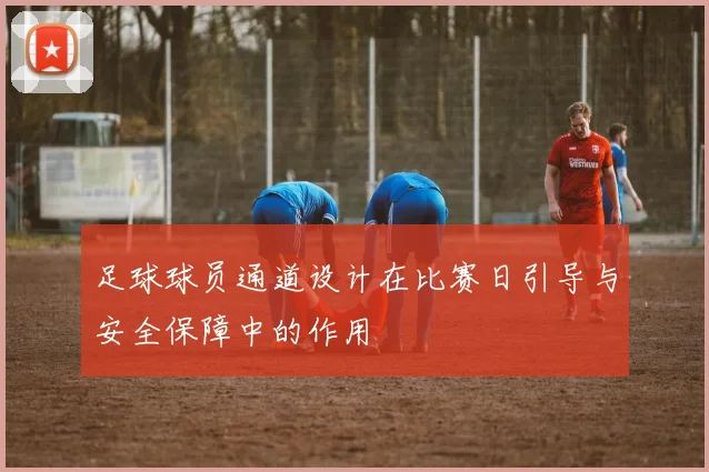 足球球员通道设计在比赛日引导与安全保障中的作用