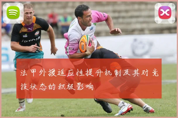 法甲外援适应性提升机制及其对竞技状态的积极影响