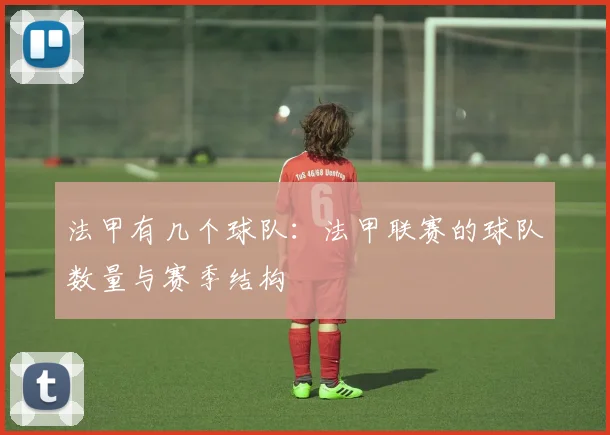 法甲有几个球队：法甲联赛的球队数量与赛季结构
