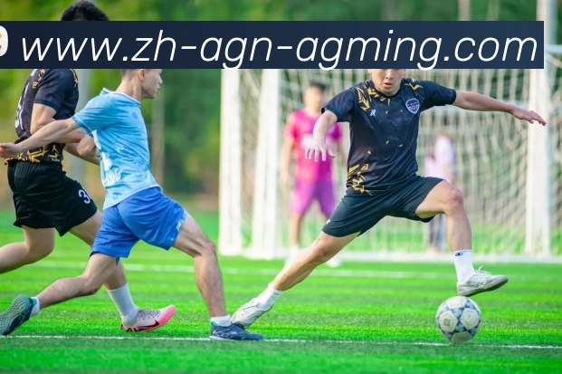 AG娱乐登录APP 高清赛事图