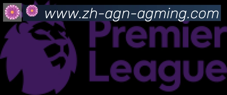 AG娱乐登录合作伙伴